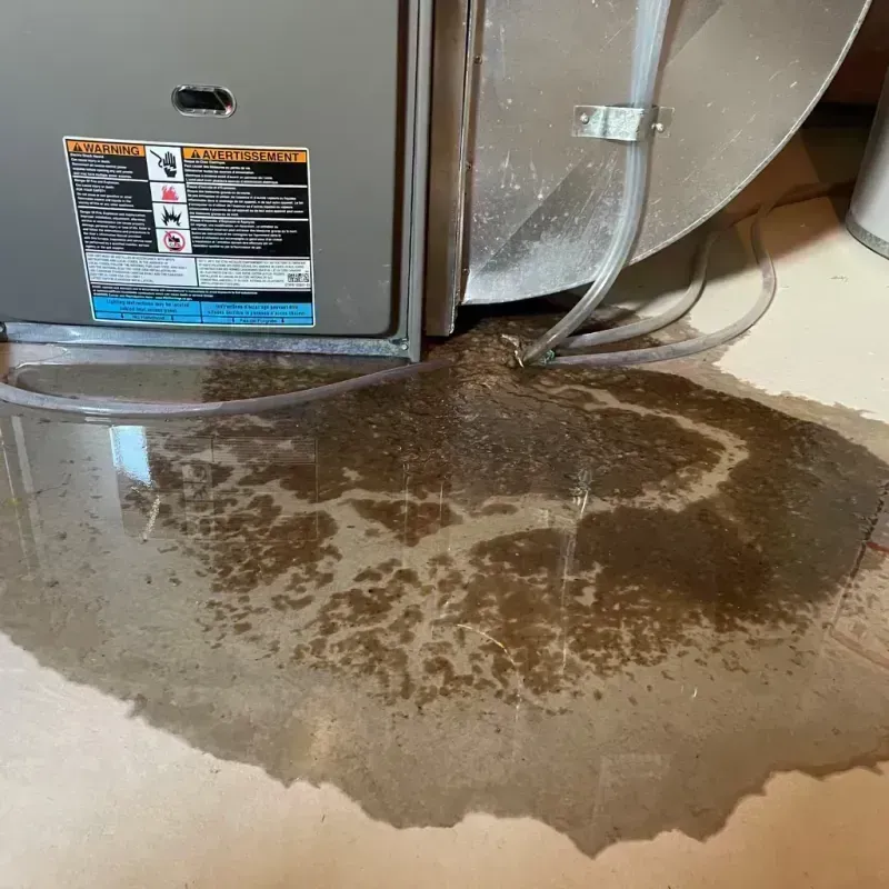 Appliance Leak Cleanup in Lake Zurich, IL